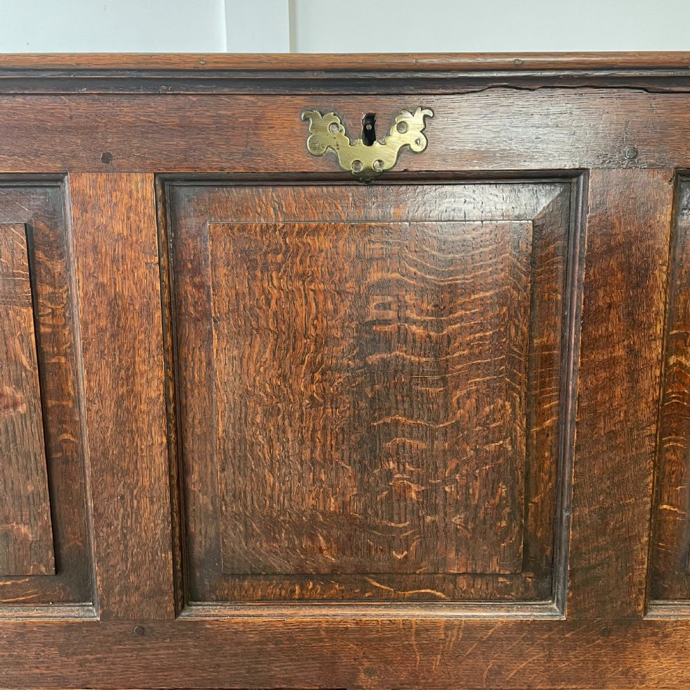 18th C. Oak Mule Chest View VII