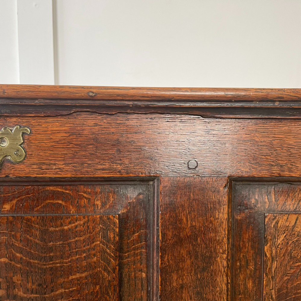 18th C. Oak Mule Chest View XI