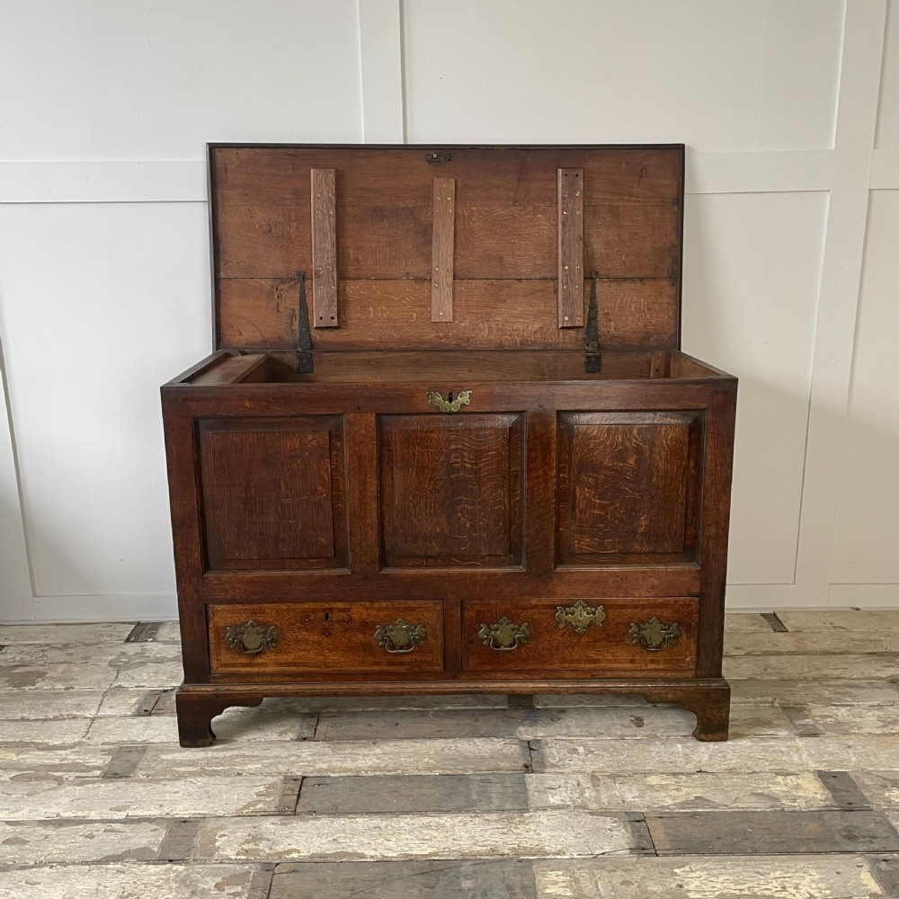 18th C. Oak Mule Chest View XII
