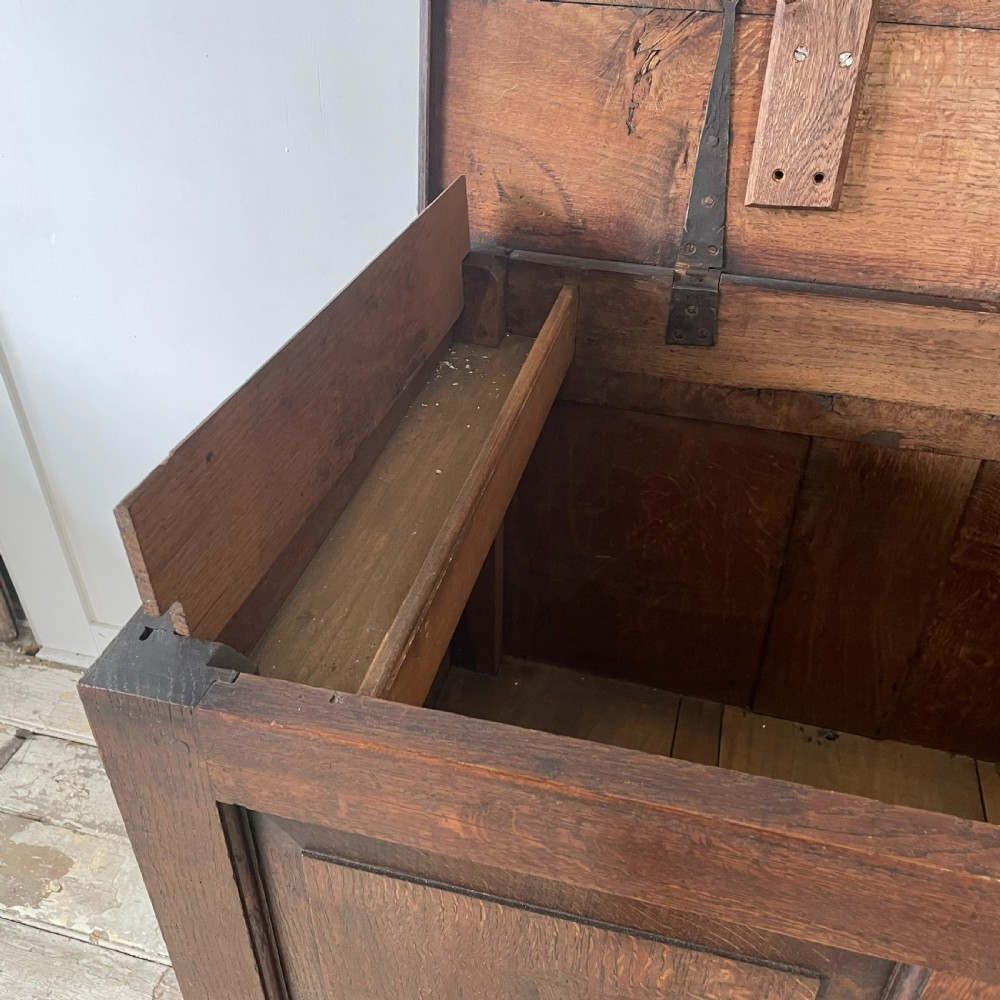 18th C. Oak Mule Chest View XIII