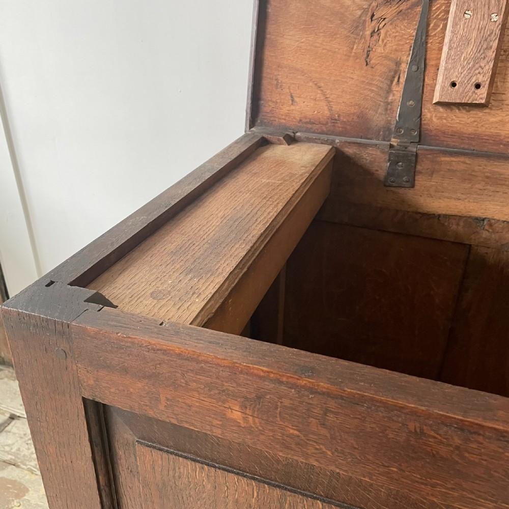 18th C. Oak Mule Chest View XIV