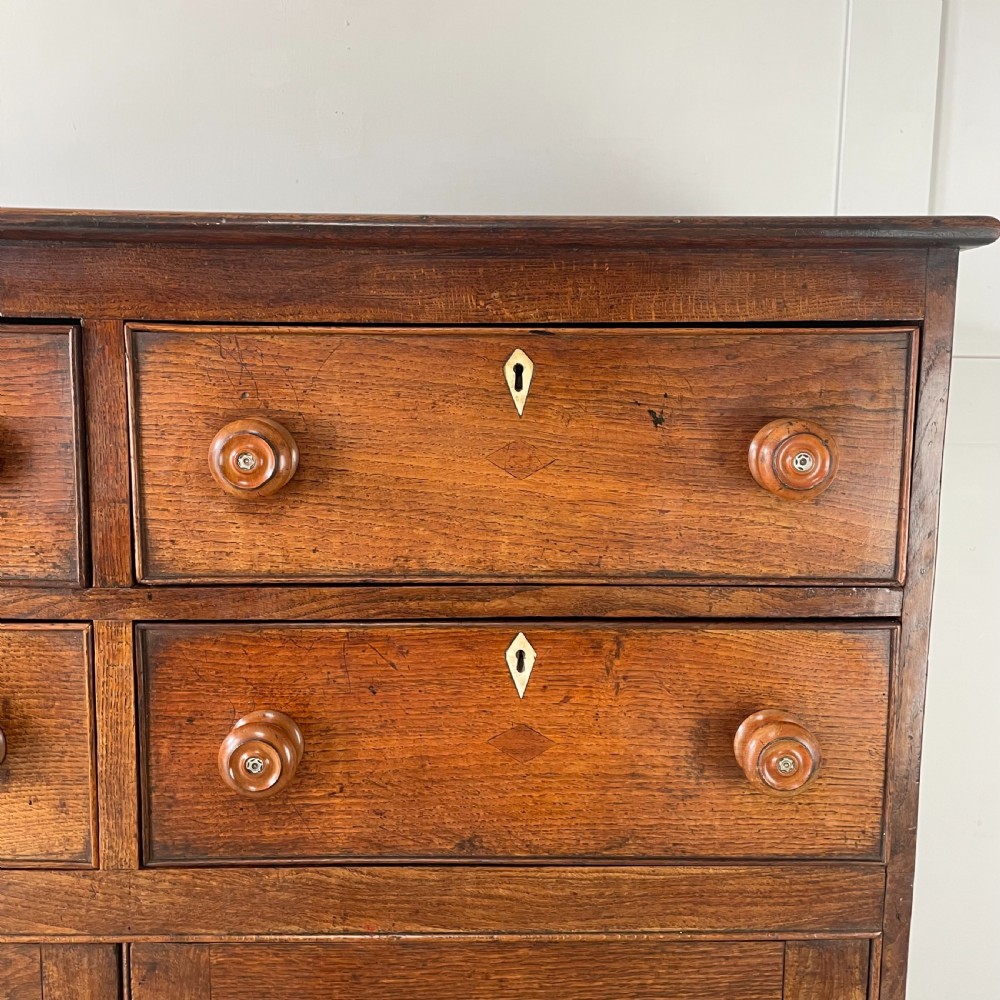 Early 19th C. Welsh Oak Food Cupboard View VI
