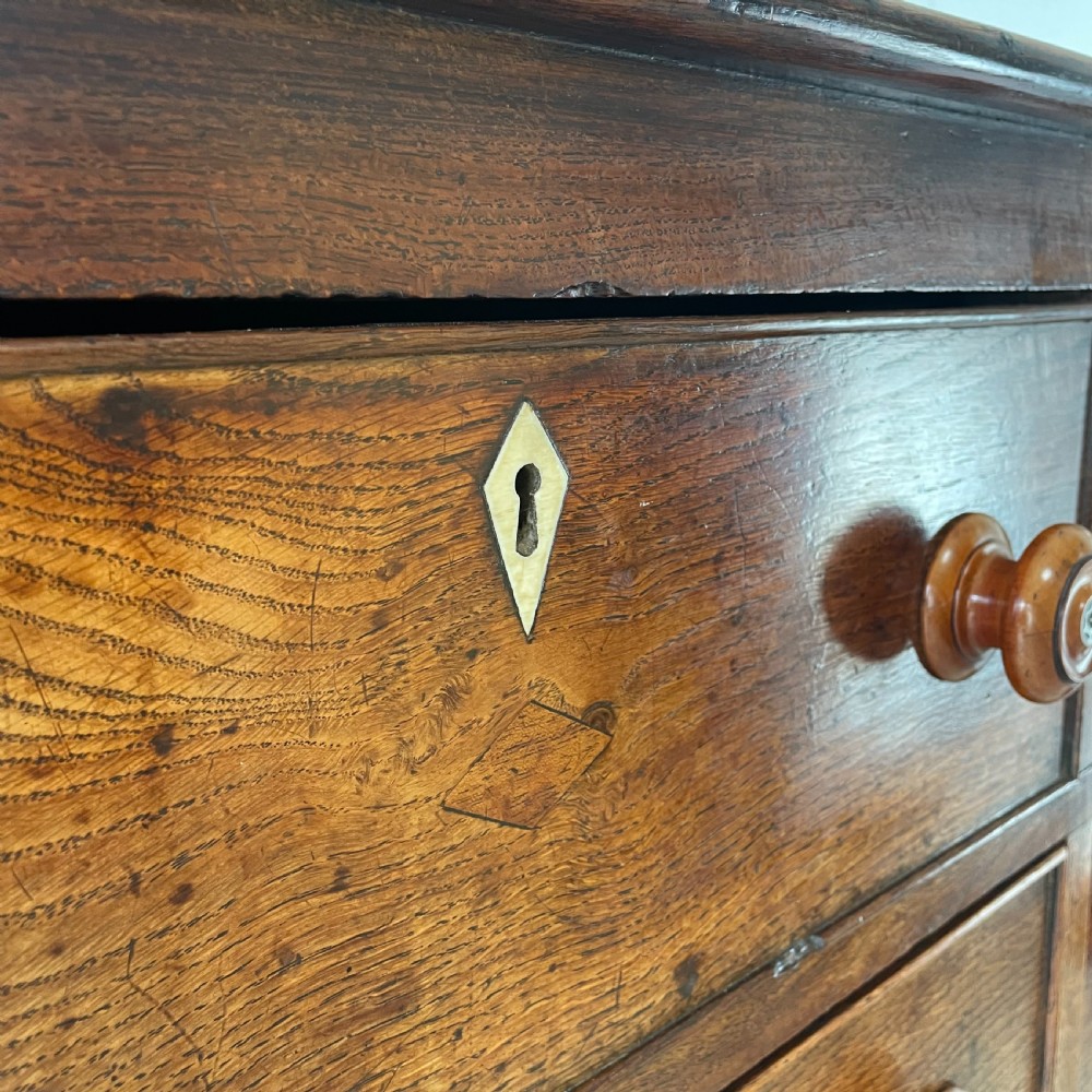 Early 19th C. Welsh Oak Food Cupboard View VII