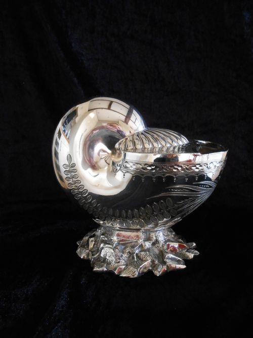 silver plated spoon warmer walker hall - CATEGORY: ANTIQUE SILVER - DATED VICTORIAN