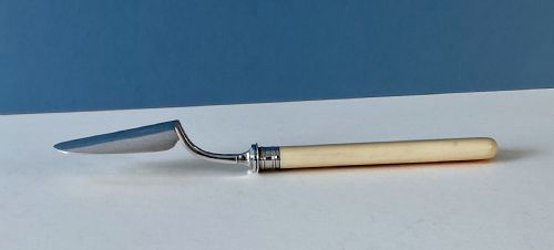 ANTIQUE SILVER TOPPED STILTON SCOOP - ADDITIONAL PHOTO 1