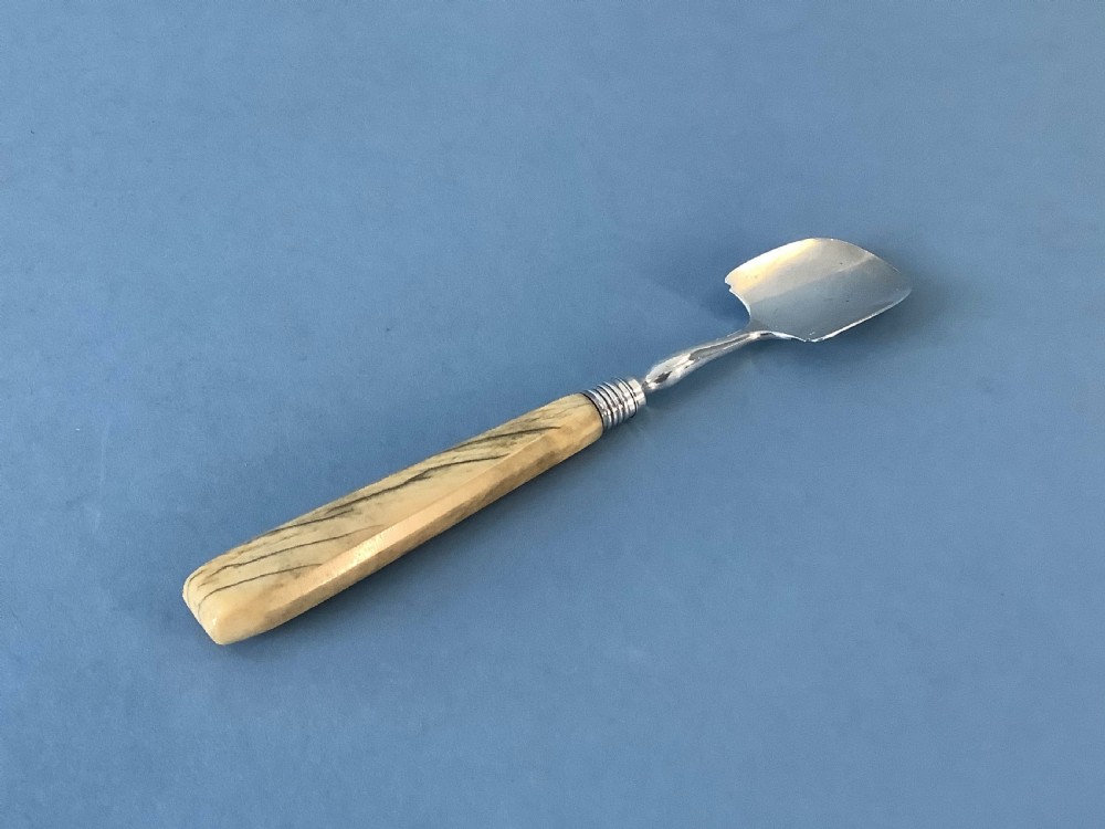 An antique Georgian sterling silver Stilton scoop featuring a spade-shaped hallmarked blade and a tapered smooth bone handle. View IV