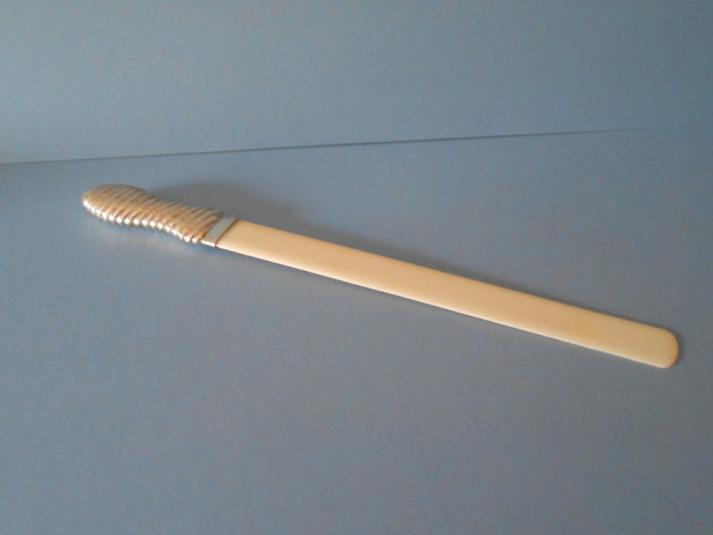 Antique Edwardian Silver Handled Page Turner