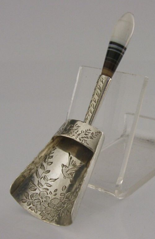 Rare Victorian English Agate Caddy Spoon Sterling Silver 1894 Bird Engraved