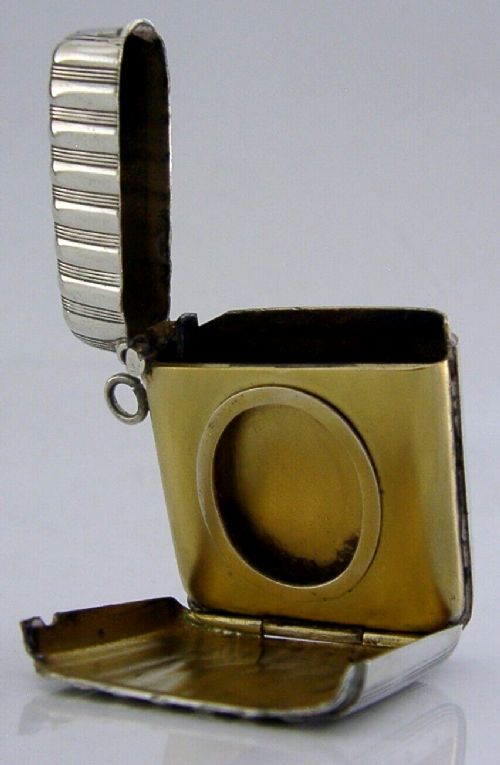 RARE ANTIQUE SOLID SILVER PHOTO VESTA CASE c1900 ANTIQUE