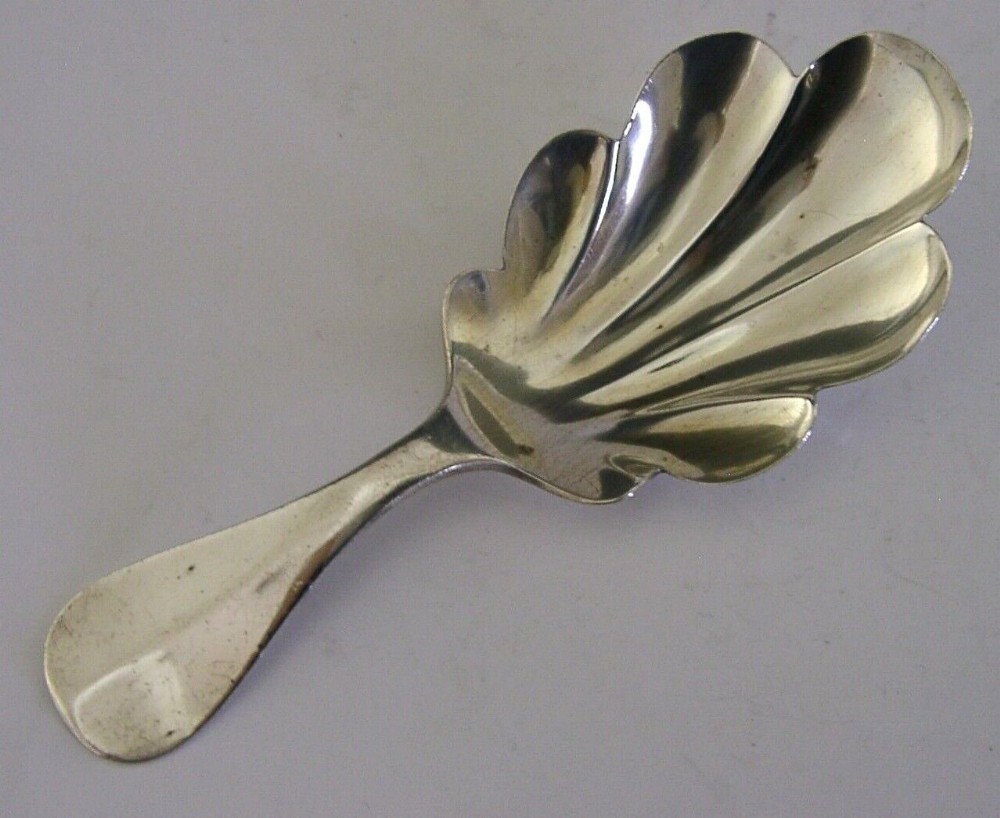 OAK LEAF ENGLISH ANTIQUE STERLING SIVER CADDY SPOON 1903 EDWARDIAN