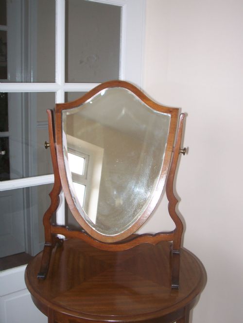 Mahogany Swing Toilet Mirror