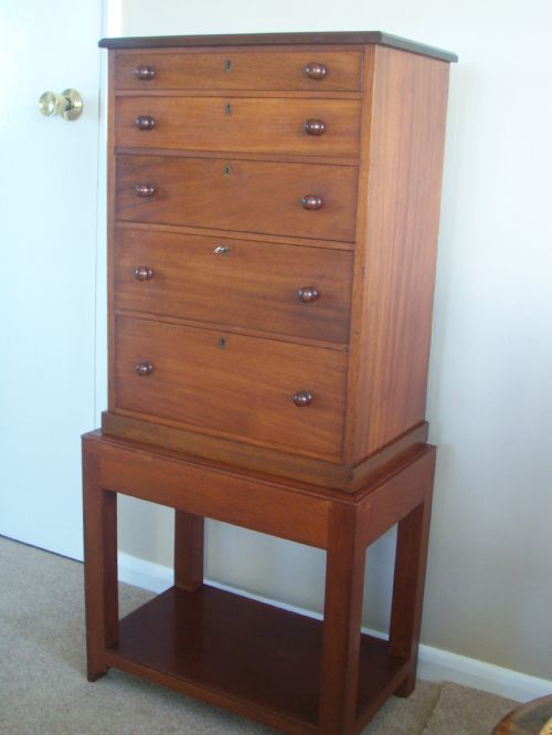Edwardian Mahogany Collectors Chest on Stand