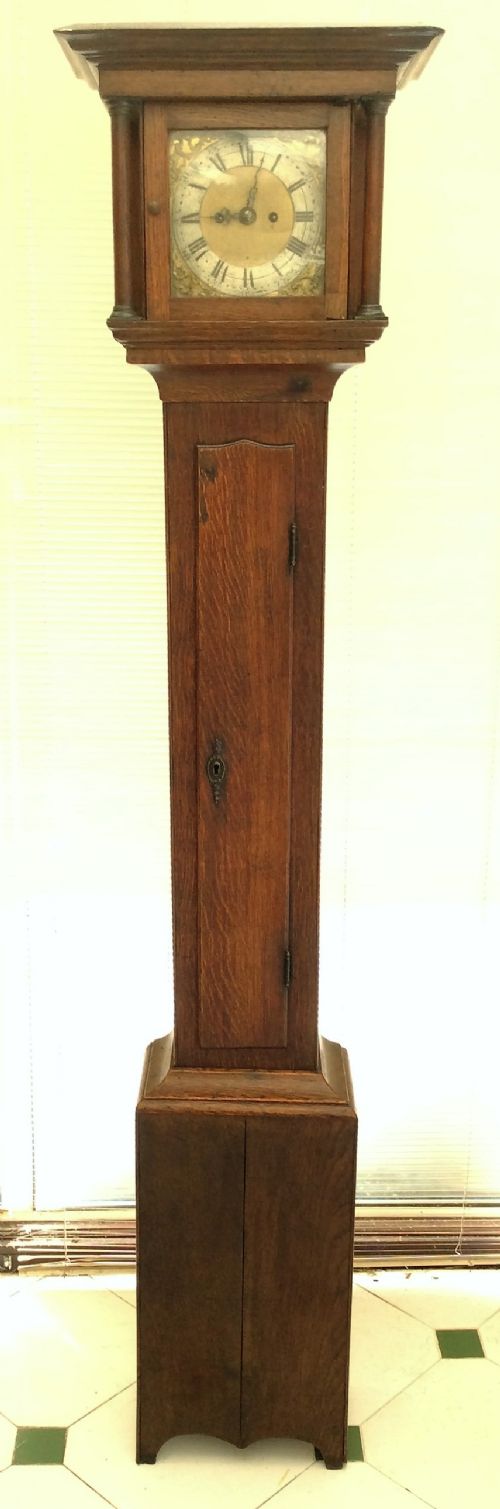 Rare Early 19th Century Twin Fusee (5 Pillar) Gong Striking 8 Day Oak Long Case ( Longcase ) Grandfather or Grandmother Clock  with 7.25in Silvered Chapter Dial