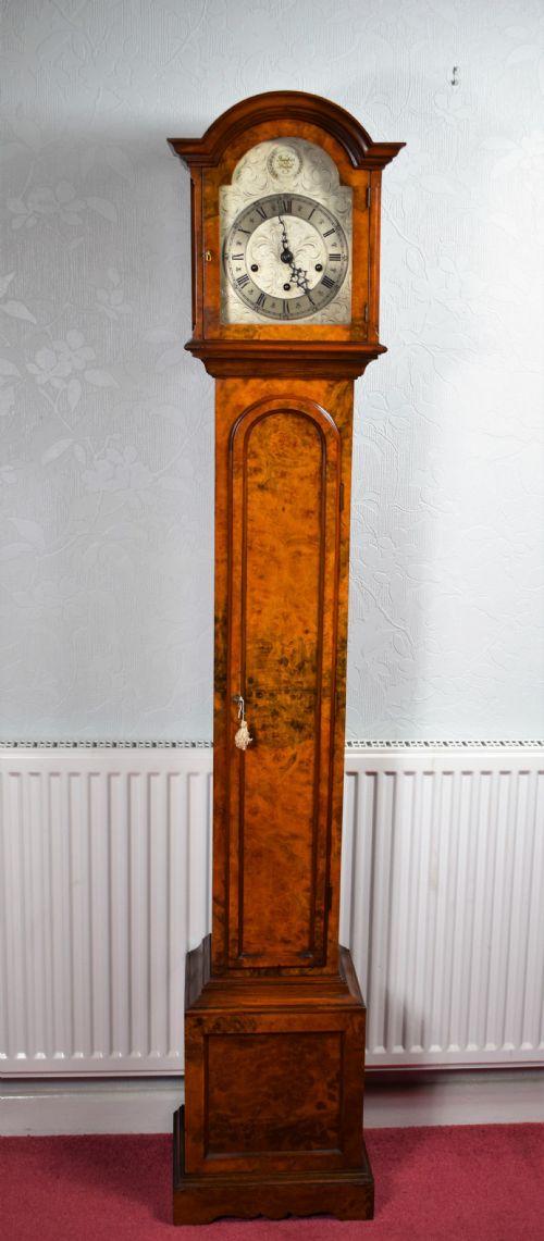 Top Quality Burr Walnut Grandmother or Dwarf Grandfather Longcase Clock with Embee Peerless 8 Day Westminster Chiming Musial Clock