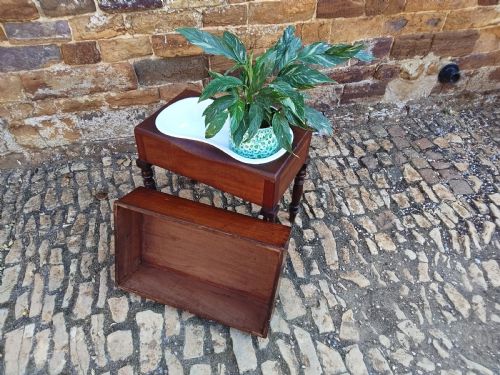 fig 1. 19th Century Small Mahogany Table with Wedgewood Bidet