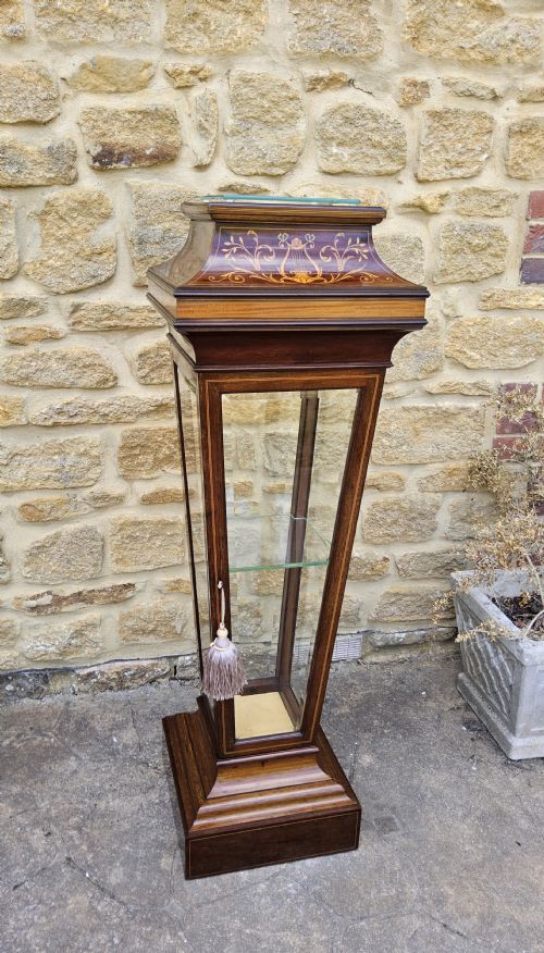 EDWARDIAN INLAID MAHOGANY PEDESTAL DISPLAY CABINET - ADDITIONAL PHOTO 1