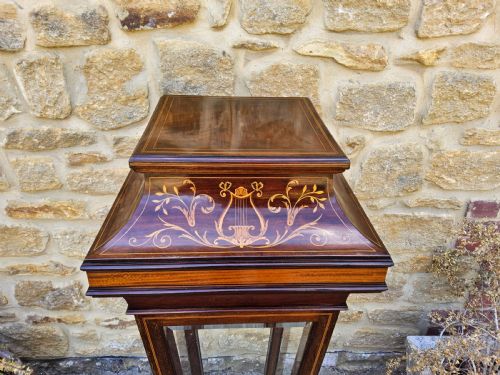 EDWARDIAN INLAID MAHOGANY PEDESTAL DISPLAY CABINET - ADDITIONAL PHOTO 4