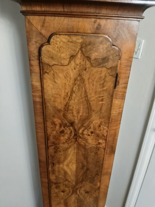 fig 1. A slim burr walnut grandmother longcase clock featuring an arched hood, round silvered dial, and bookmatched timber grain.