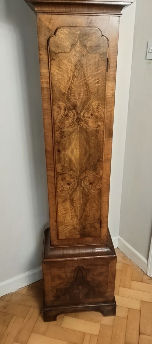 fig 2. A slim burr walnut grandmother longcase clock featuring an arched hood, round silvered dial, and bookmatched timber grain.