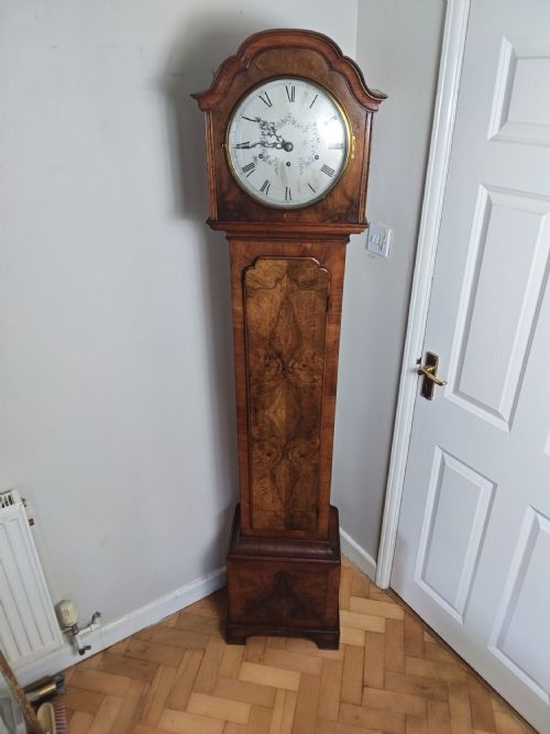 Burr Walnut Musical 3 Weights Grandmother Longcase Clock