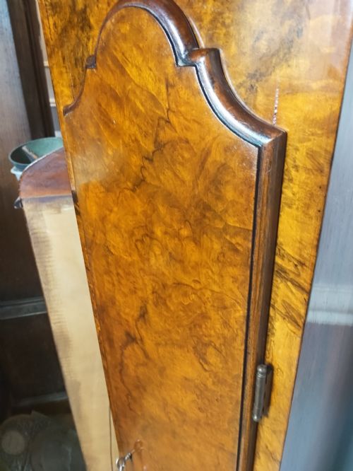 fig 1. A tall slim figured walnut grandmother longcase clock featuring an arched hood, brass and silvered dial, and a polished wood trunk.