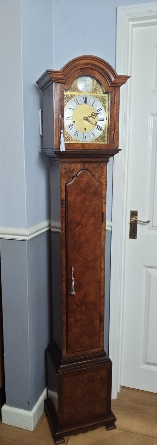 A tall slim figured walnut grandmother longcase clock featuring an arched hood, brass and silvered dial, and a polished wood trunk. View XIII