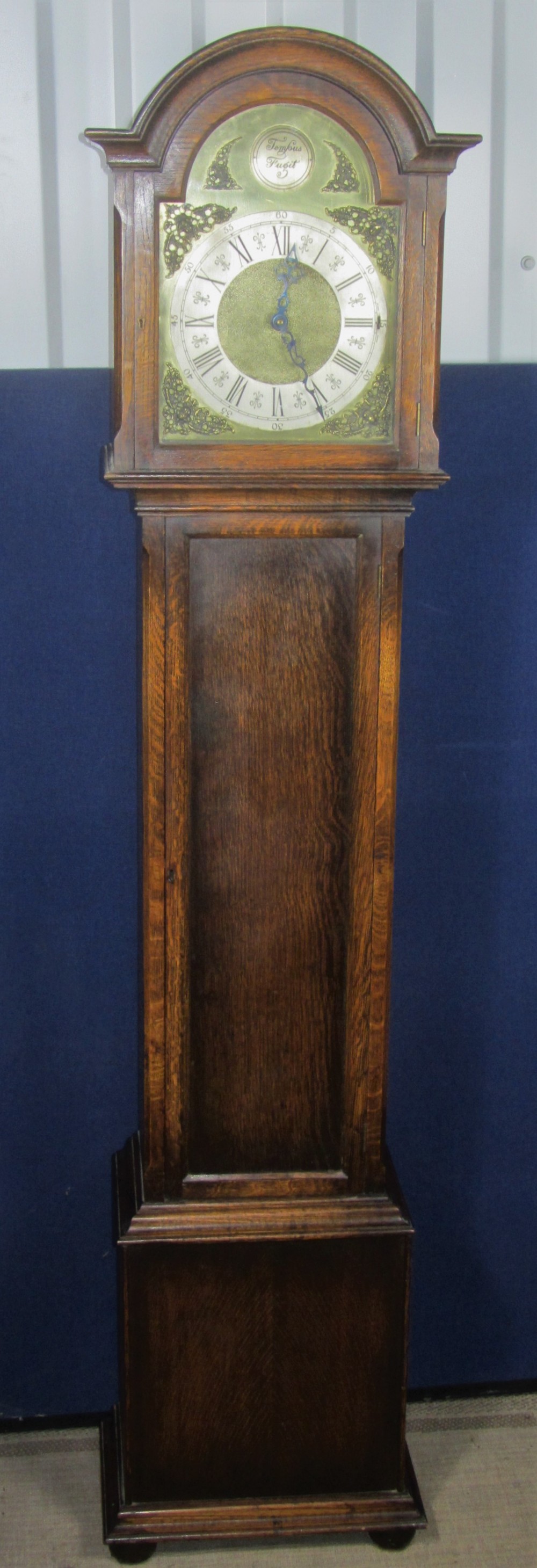 Triple Weight Musical Oak Longcase of Grandmother Size c1920. Delivery & Set Up Service O