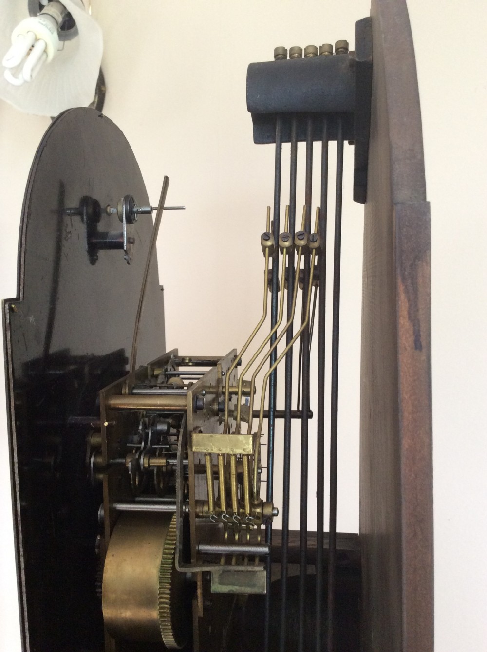 Gustav Becker Late 19th C. Figured Walnut Petite Chiming Grandfather or Grandmother Longcase Clock View VI