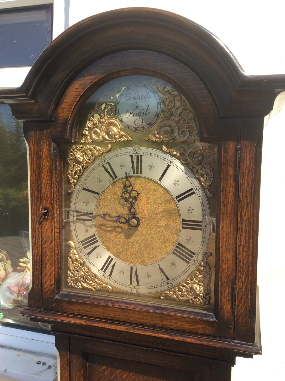 Triple Weight Westminster Chiming Musical Grandmother or Grandfather Longcase Clock with Fine Adjuster Veniers - Circa 1920 View III