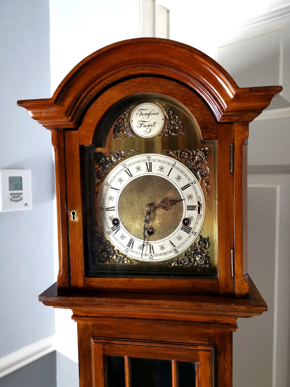 Glass Fronted Mahogany Soft Sounding Twin Tune (Westminster or Whittington) Musical Quarter Chiming Grandmother or Small Grandfather Longcase Clock View II