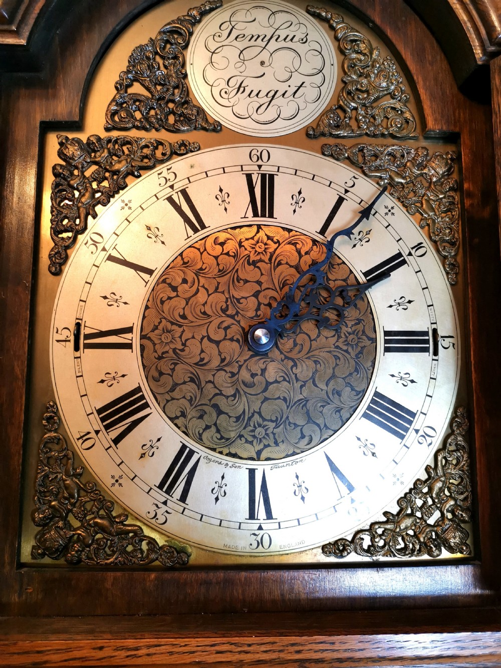 Astagal Glazed Triple Weight Twin Tune Musical Quarter Chiming Oak Grandmother or Grandfather Longcase Clock. View IX