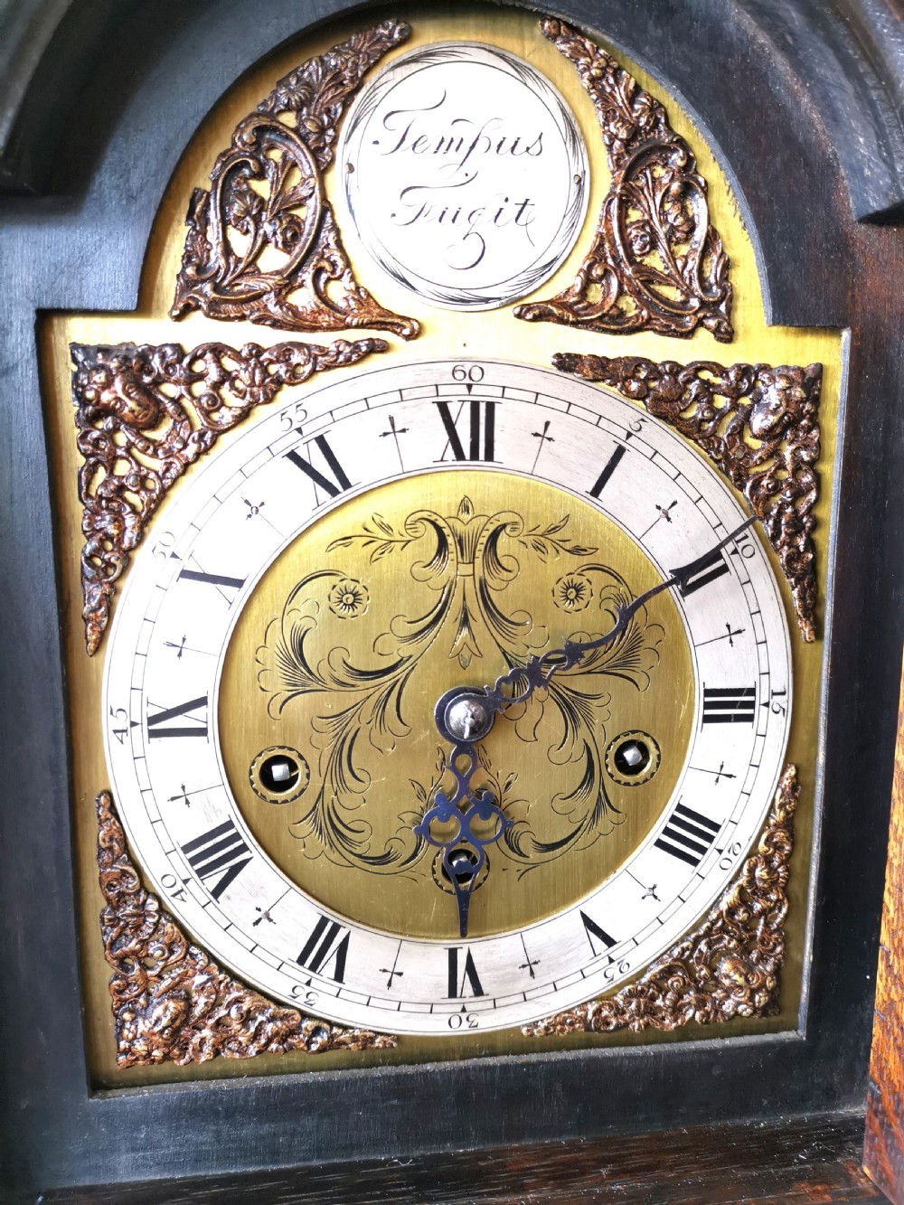 Sweet Sounding English Early 20th C. Oak Petit Grandfather or Grandmother Longcase Clock Striking the Hours & Playing Musical Chimes on Each Quarter.  View VI