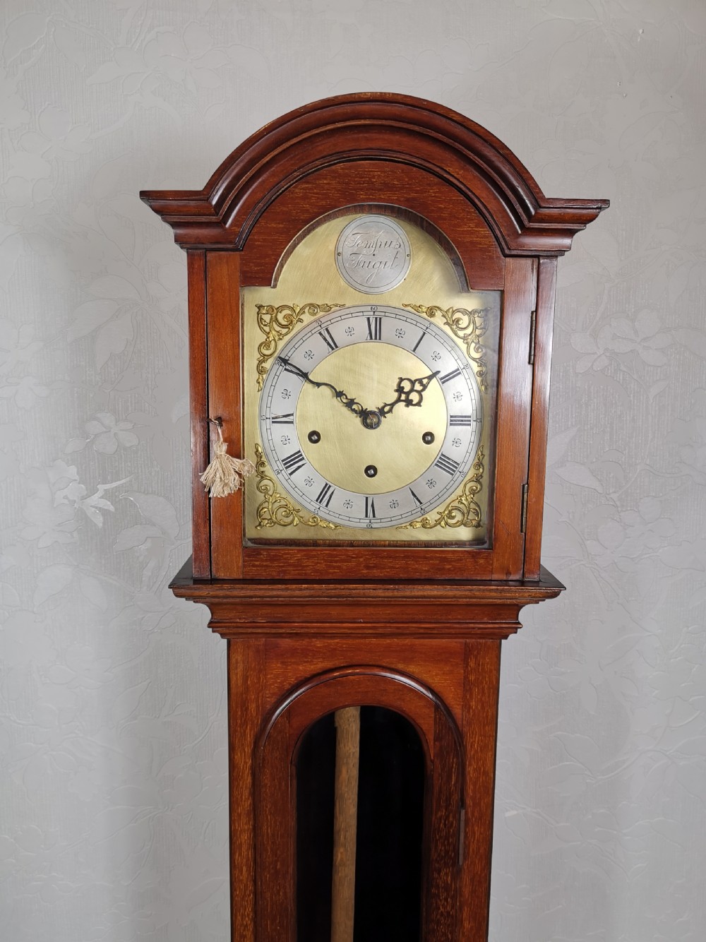 Fine Quality German 1920s Glass Fronted Mahogany Grandmother or Small Grandfather Longcase Clock with Musical Quarter Chimes & Hour Strike.  View VI