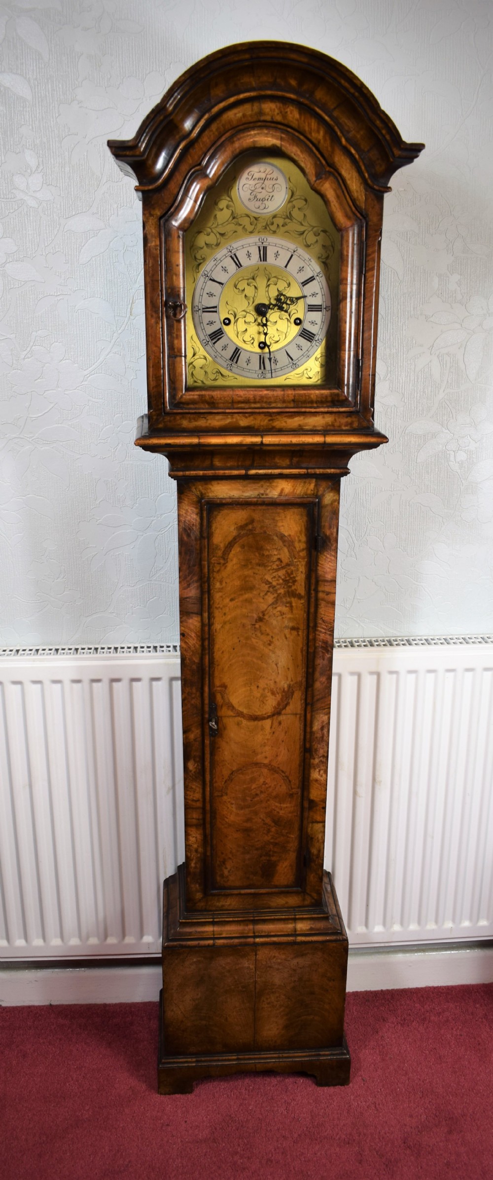 Early 20th Century Figural Walnut Dwarf Grandfather or Grandmother Westminster Chiming Musical Longcase Clock