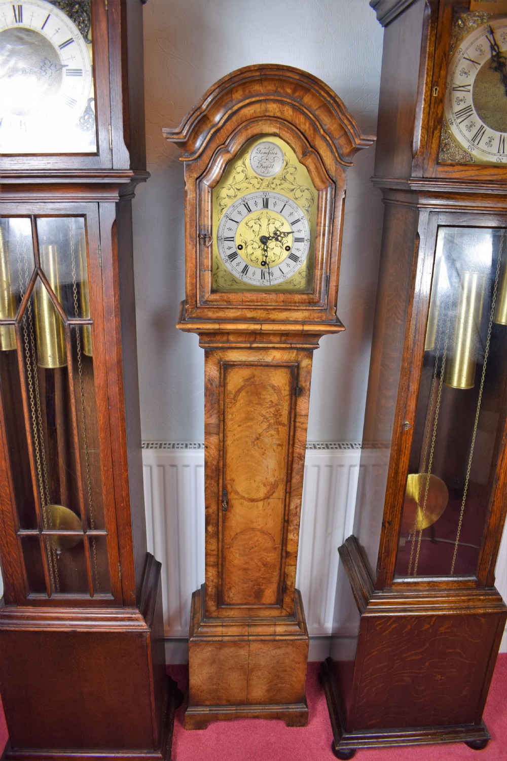 Early 20th Century Figural Walnut Dwarf Grandfather or Grandmother Westminster Chiming Musical Longcase Clock View VIII