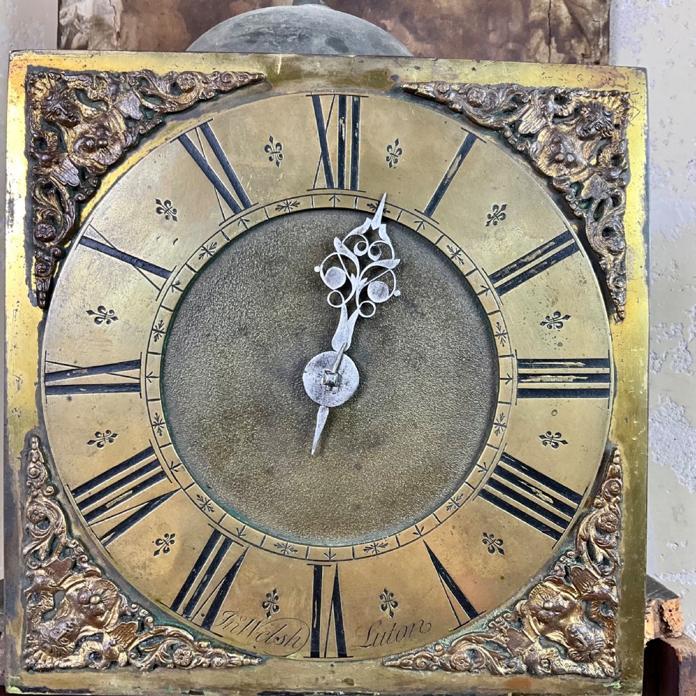 A tall dark brown painted pine longcase clock featuring a square brass dial with ornate corner spandrels, turned hood pillars, and a slender trunk door on a plinth base. View VI