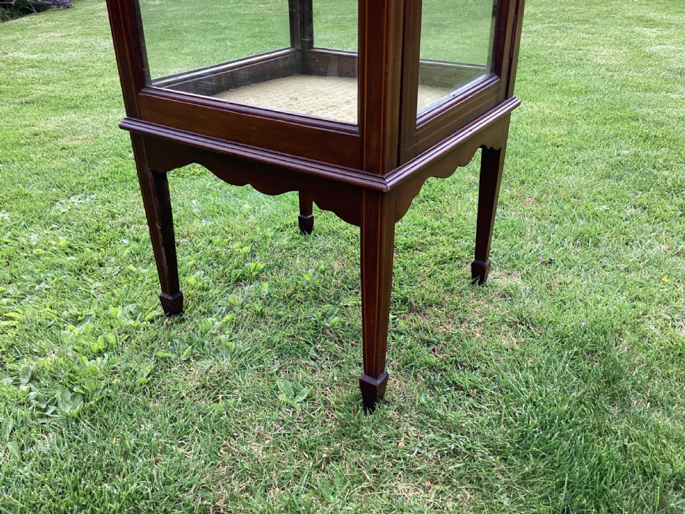 Bijouterie Trophy Pedestal Display Cabinet or Vitrine View VIII