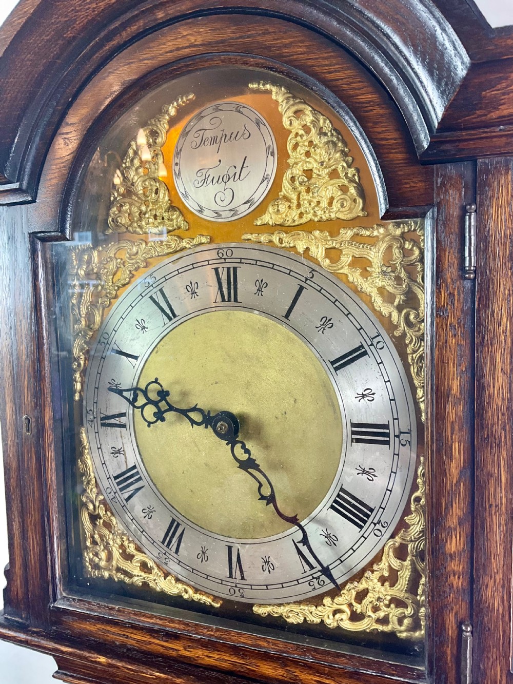 A dark oak grandmother longcase clock featuring an arched hood, clear glass door, and a brass dial with Roman numerals. View VI