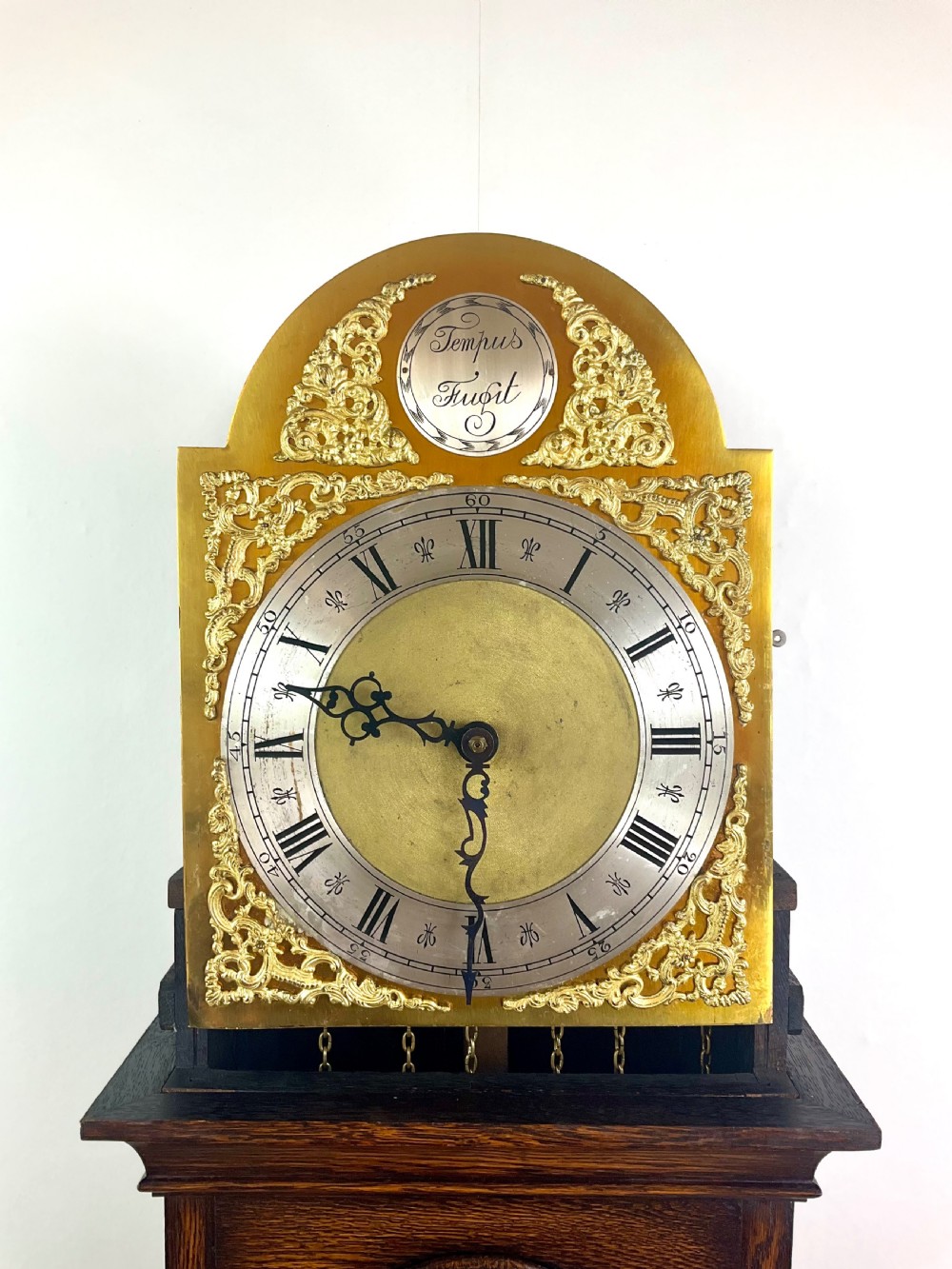 A dark oak grandmother longcase clock featuring an arched hood, clear glass door, and a brass dial with Roman numerals. View VII