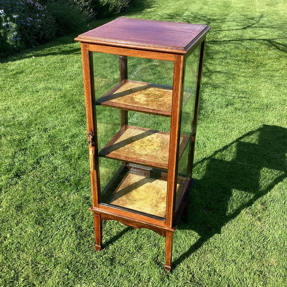 Inlaid mahogany display cabinet pedestal vitrine