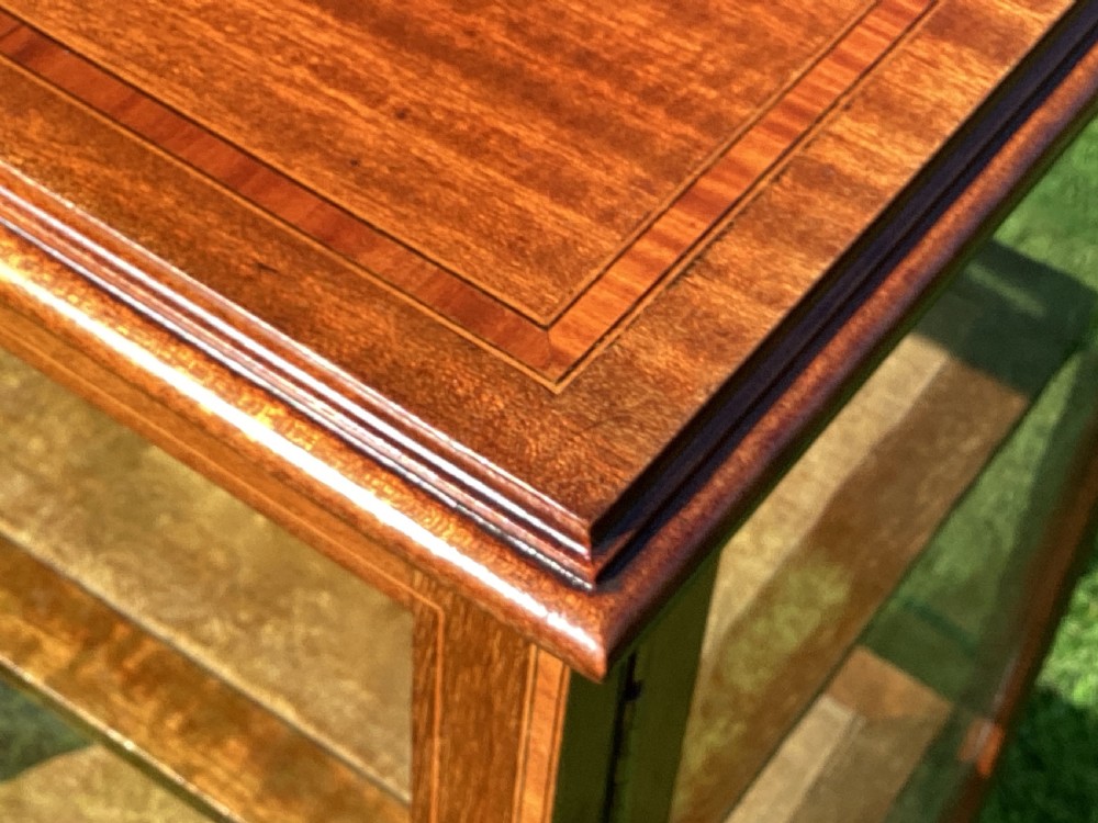 Inlaid mahogany display cabinet pedestal vitrine View II