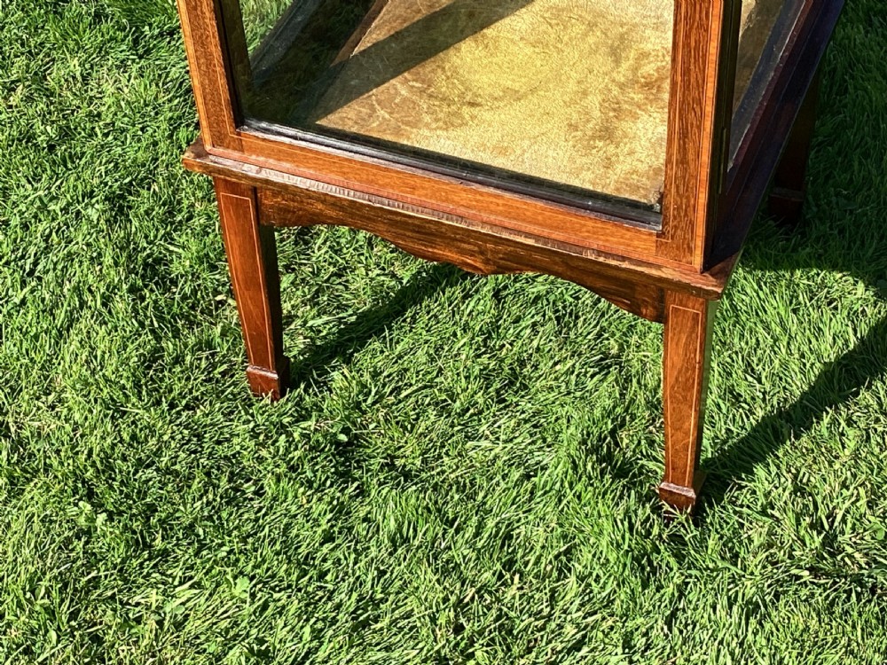 Inlaid mahogany display cabinet pedestal vitrine View III