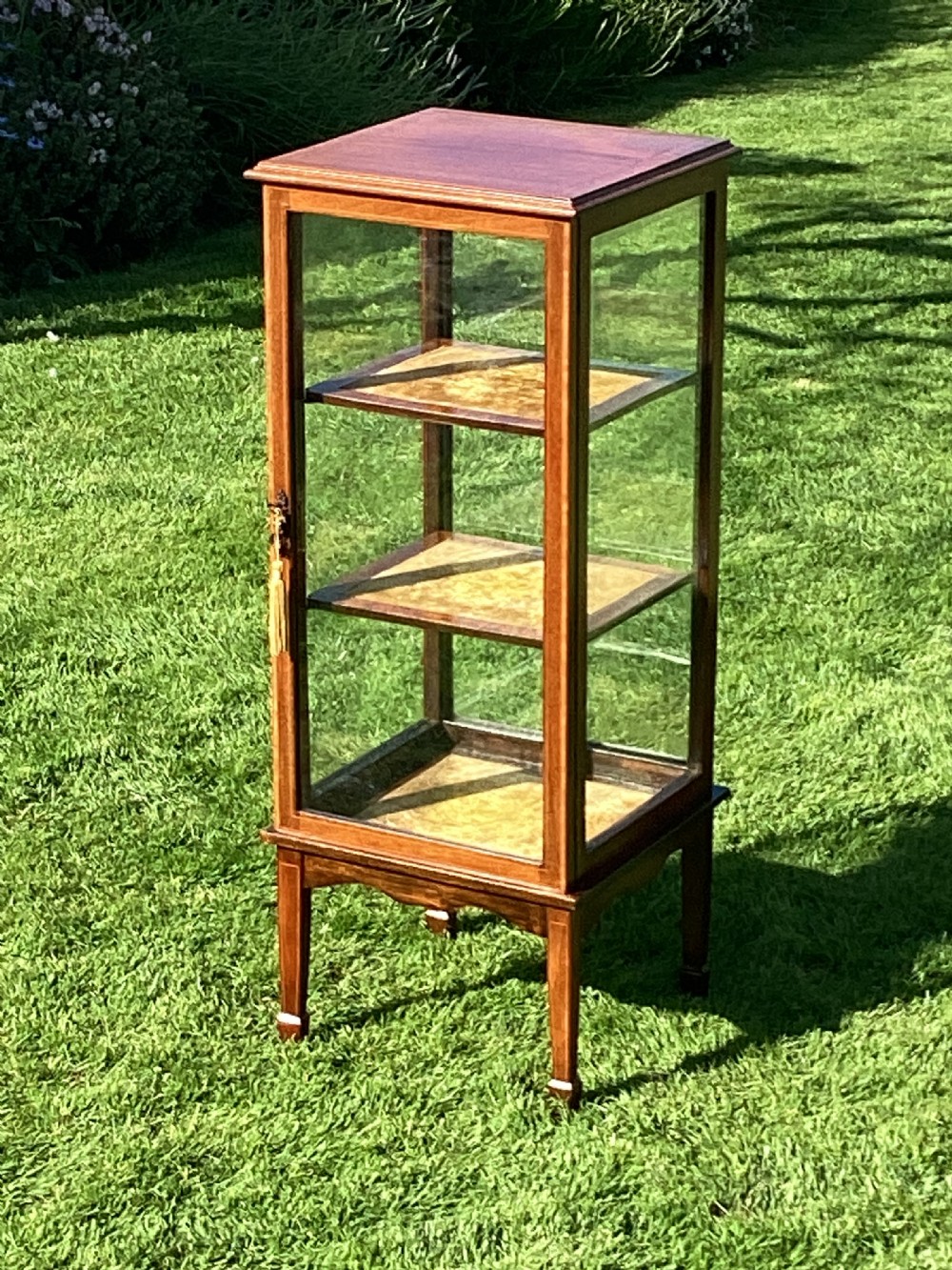 Inlaid mahogany display cabinet pedestal vitrine View VI