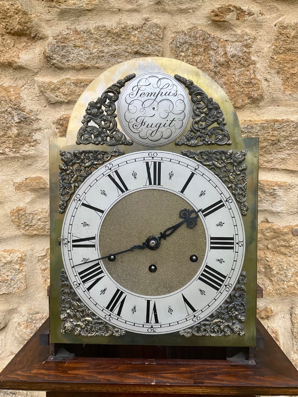 A floor-standing walnut grandmother longcase clock featuring an arched hood, brass dial with Roman numerals, long trunk door, and stepped plinth base. View XVI