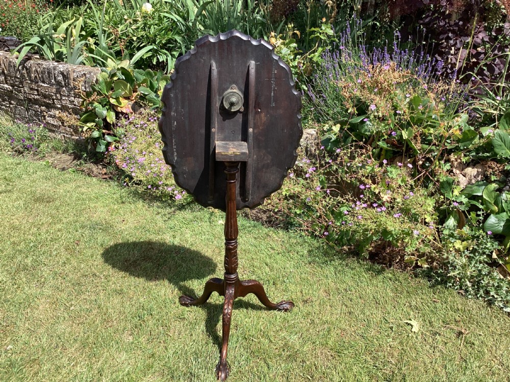 A dark mahogany tripod table featuring a scalloped piecrust tilt-top surface, turned column stem, and carved cabriole legs. View V