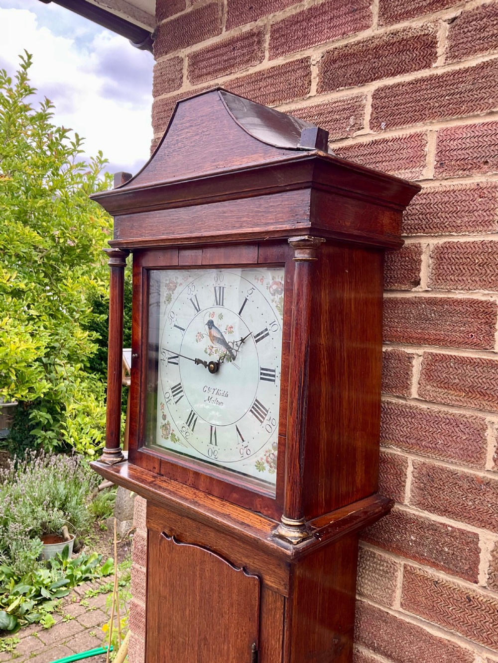 19th Century Small Slim Grandfather Longcase Clock View XIII