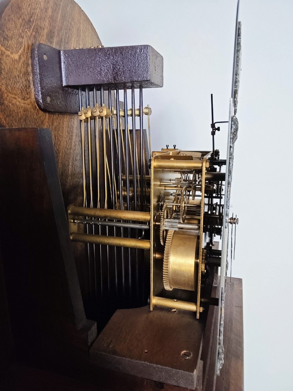A tall burr walnut grandmother longcase clock featuring an arched hood, silvered dial with Roman numerals, and an arched trunk door. View XV