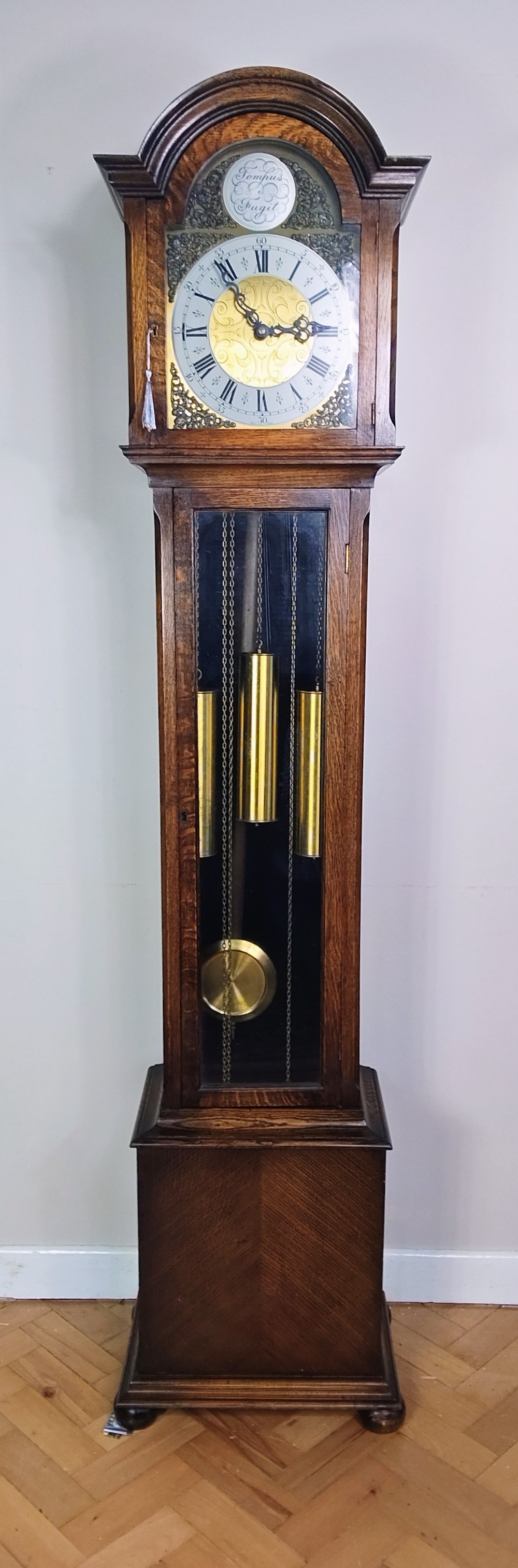 An English oak longcase clock featuring an arched hood, silvered brass dial, and a glazed trunk door displaying three brass weights and a pendulum.