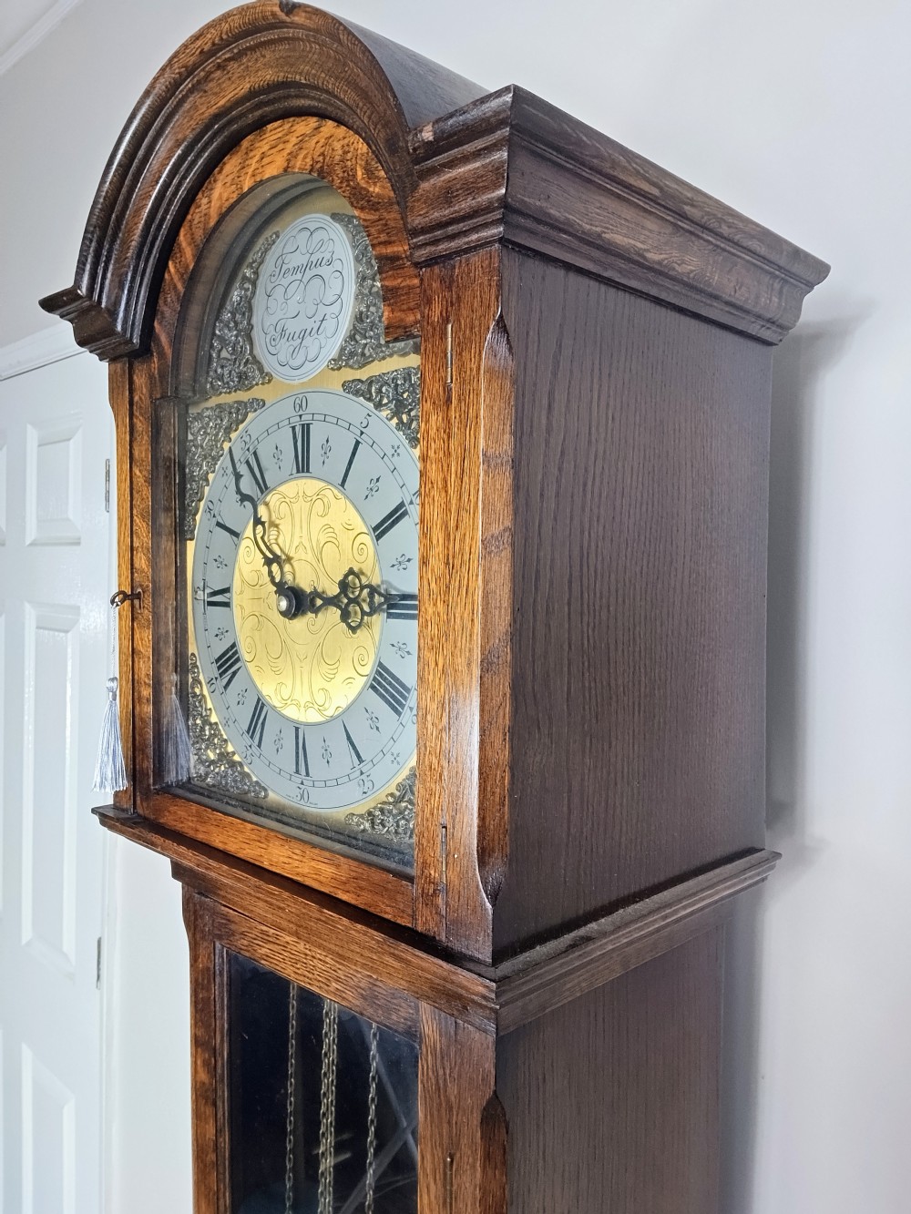 An English oak longcase clock featuring an arched hood, silvered brass dial, and a glazed trunk door displaying three brass weights and a pendulum. View II