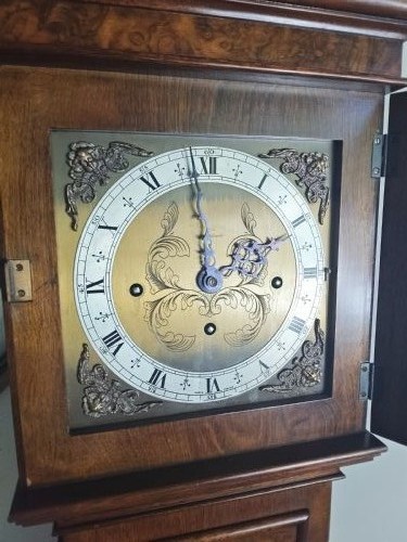 A floor-standing burr walnut grandmother longcase clock featuring a square brass dial, decorative corner spandrels, a coved top with metal finials, and a slender veneered trunk door. View VI